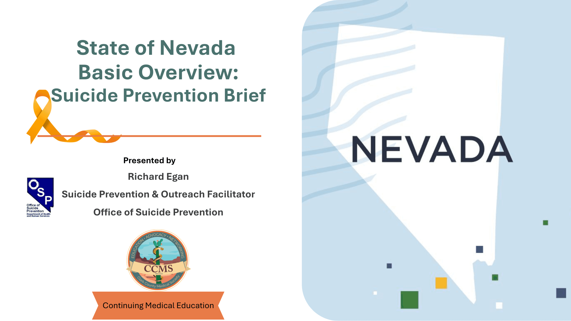 State of Nevada Basic Overview: Suicide Prevention Brief